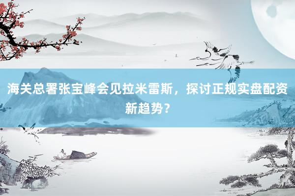 海关总署张宝峰会见拉米雷斯，探讨正规实盘配资新趋势？