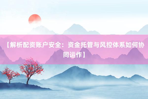 【解析配资账户安全：资金托管与风控体系如何协同运作】