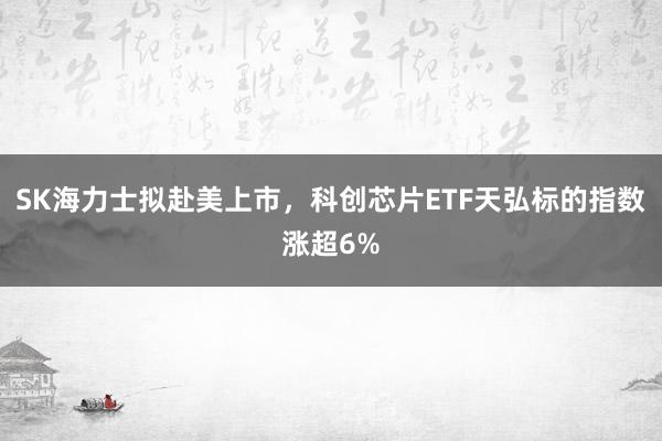 SK海力士拟赴美上市，科创芯片ETF天弘标的指数涨超6%