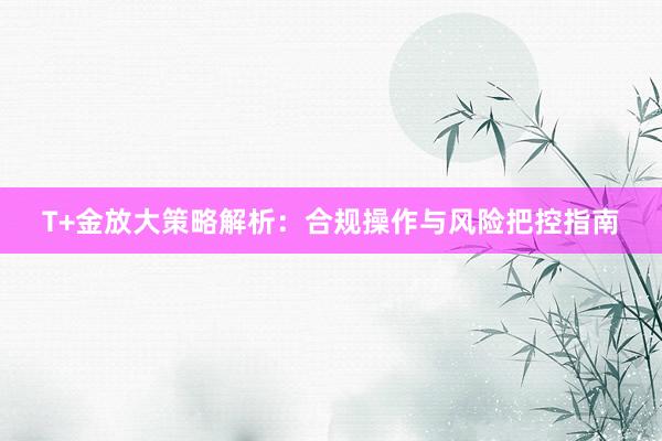 T+金放大策略解析：合规操作与风险把控指南