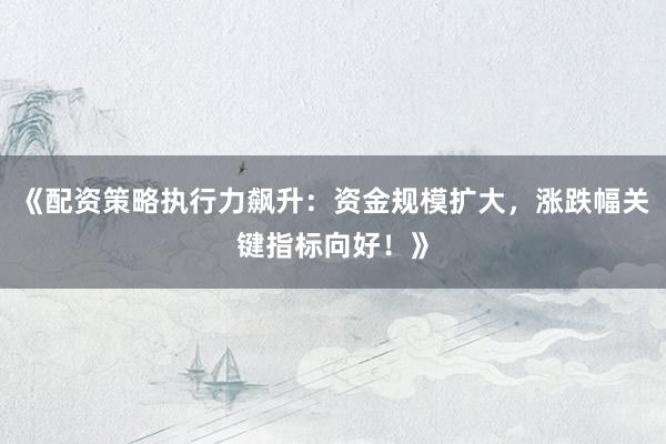 《配资策略执行力飙升：资金规模扩大，涨跌幅关键指标向好！》