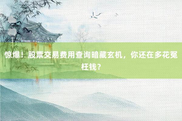 惊爆！股票交易费用查询暗藏玄机，你还在多花冤枉钱？