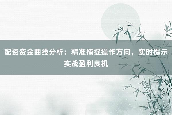 配资资金曲线分析：精准捕捉操作方向，实时提示实战盈利良机