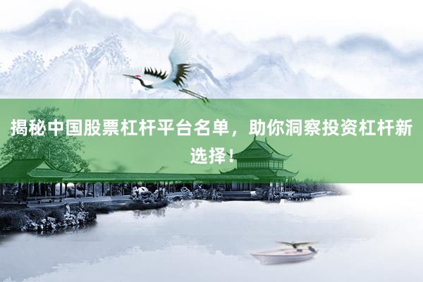 揭秘中国股票杠杆平台名单，助你洞察投资杠杆新选择！